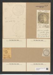 Pseudauliscus radiatus (Bail.) Rattr. (de-Toni-Nr.: Genus 172, Species 4412) Zeichnungen Sammlung Grunow Nr. 7973 (NHMW-BOT-W0377264)